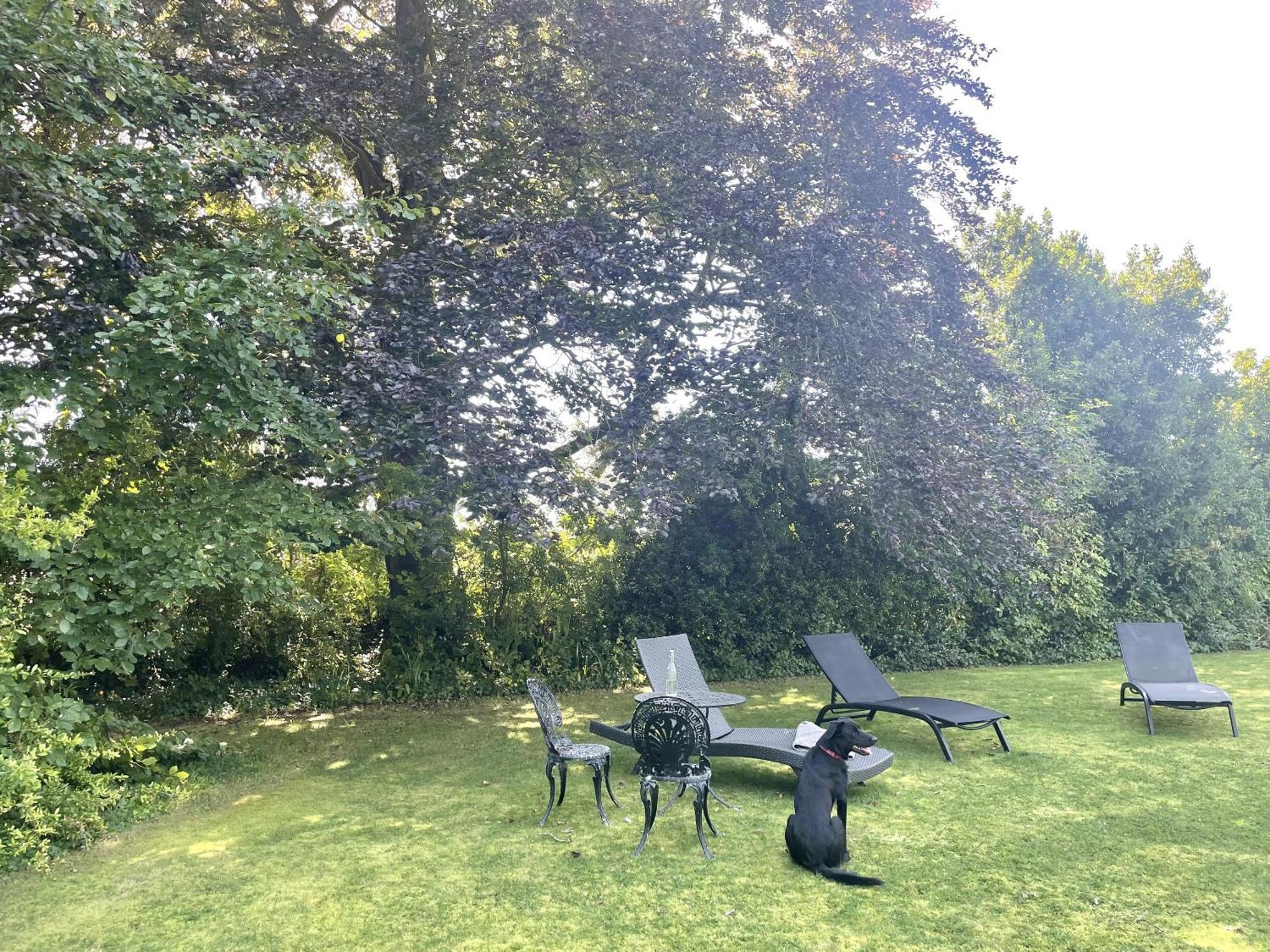 The Mount Somerton Retreat - Nr Bruton, Glastonbury, The Spectacular Wells Cathedral, Millfield School, Leonardo Helicopters, Yeovilton Bagian luar foto
